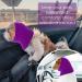 CoBee Soothing Earmuffs for Dogs | Noise Protection Ear Flap Head Wrap - XL Violet | Comfort & Care for Bathing - Buy Online on GoSupps.com