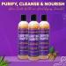 Gold Banner Beauty MOISTURCURL Clarifying Shampoo - 8oz | Deep Cleansing Vegan & Cruelty-Free Formula for Volume & Shine | Remove Buildup & Dullness International Shipping Available - Buy Online on GoSupps.com