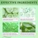 R.A.V Cucumber Eye Masks - 30 Pairs Collagen Patches for Under Eye Nourishment and Firming | Reduce Fine Lines, Wrinkles, Dark Circles and Puffiness | Eye Treatment for Men and Women - Buy Online on GoSupps.com