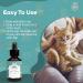 Catly Antibacterial spray Ear Cleaner | Cat ear cleaner and cat ear mite treatment | Camomile oil spray 100ml | Alternative to cat ear drops - Buy Online on GoSupps.com