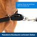 Buy PetSafe Easy Walk Harness - Anti-Pull Dog Harness (Size M Pink) with 1.8M Leash | Reduces Choking & Coughing - Shop Internationally! - Buy Online on GoSupps.com