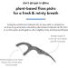 Sustainable Plant-Based Floss Picks (200 Count) for Dental Hygiene | Eco-Friendly, Cruelty-Free, Charcoal Double Thread - Buy Online on GoSupps.com