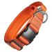 OneTigris Dog Collar with Metal Buckle for Dogs (Orange M) M Orange