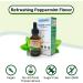 Vitamin D3 K2 Liquid Drops with MCT Oil Peppermint Flavor - Bone and Heart Health Support - 1 fl. oz - Buy Online on GoSupps.com