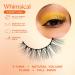 eLASHtic Natural Wispy Full Band Strip Lashes | Flared & Volume Fake Eyelashes | Elastic Lash Band for Comfort | International Shipping Available - Buy Online on GoSupps.com
