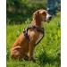 Lionto Padded Anti-Pull Dog Harness | Reflective & Adjustable Safety Harness | Size M Brown - Shop Now! - Buy Online on GoSupps.com