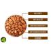Premium Bitter Apricot Kernels B17 | 100% Natural & Untreated | 500g - 5kg | International Shipping - Buy Online on GoSupps.com
