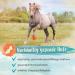 Ida Plus Biotin & Zinc for Horses - High-Dose Supplement for Hoof Quality Skin Fur & Immune Support - 750g - Premium Comparison Winner - Buy Online on GoSupps.com