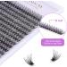 Cluster Eyelash 240pcs 40D 0.07 D Curl 15mm Individual Lashes - DIY Eyelash Extension Kit (15mm 40D-D-0.07) - Buy Online on GoSupps.com