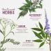 WishGarden Herbs Cycle Harmony - Plant-Based Hormone Support Supplement with Vitex & Wild Yam for PMS Irregular Cycles & Ovulation Issues - 4oz - Buy Online on GoSupps.com