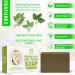 Poison Ivy Soap Bar - Natural Anti-Itch Treatment for Poison Ivy, Oak & Sumac - Soothes Rashes - 4 oz Bars (2 Pack) USA Made - Buy Online on GoSupps.com