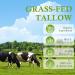 100% Organic Beef Tallow Face Moisturizer | Unscented Whipped Tallow Cream for Sensitive Skin | Grass-Fed | Nourishing Skin Care - Buy Online on GoSupps.com