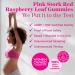 Pink Stork Red Raspberry Leaf Gummies - Third Trimester Labor Prep + Postpartum Mood Essentials with Evening Primrose Oil + Black Cohosh - 60 Vegan Gummy Supplements Non-GMO - Buy Online on GoSupps.com