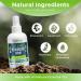 Rocket Pure Natural Cedar Shoe Deodorizer and Foot Spray - Odor Eliminator for Shoes and Feet - Buy Online on GoSupps.com