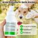Dog Waterless Foaming Shampoo 3-in-1 Hypoallergenic Pet Shampoo for Dogs Cats Cleans Pet No Rinse Foam Dry Shampoo Conditions & Deodorizer Natural Red Pomegranate Flavour 300ml - Buy Online on GoSupps.com