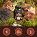 Complex 7 Organic Mushrooms | With Organic Extracts: Lions mane Maik Shiitake Cordyceps Reishi Chaga Agaricus | 1300 mg | Immune Defense | Vegan & No Additives | Vegavero  - Buy Online on GoSupps.com