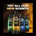 AXE Fine Fragrance Collection Golden Mango Body Wash for Men - 4 Count, 18 oz - Mango Mandarin and Vetiver Scent - Shower Gel for 12h Refreshing Experience - Buy Online on GoSupps.com