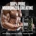 NutraBio Pure Micronized Creatine Monohydrate Powder Supplement, Unflavored, (300 g) - Supports Bulk Muscle Energy, Recovery, and Strength - HPLC Tested Creatine Powder Supplement for Men and Women Unflavored 300g - Buy Online on GoSupps.com