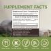 Longevity Botanicals Organic Cordyceps Mushroom Powder - 3.5 oz - Promotes Energy, Endurance, and Stamina - 100% Fruiting Body Extract - Buy Online on GoSupps.com