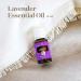 Young Living Lavender Essential Oil 15ml - 100% Pure Aromatherapy Oil for Relaxation & Stress Relief - International Shipping Available - Buy Online on GoSupps.com