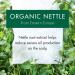 Klorane Nettle Shampoo for Oily Hair - Regulates Oil Production - 13.53 Fl Oz - Paraben, Silicone, SLS Free - Buy Online on GoSupps.com