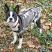 XXL Camouflage Doton Hospital Suit for Dogs & Cats - Wound Protection Medical Clothing & After Operation Recovery - Buy Online on GoSupps.com