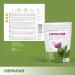 HepaFar Liver Detox Tea - Green Tea & Dandelion Blend - 20 Bags for Effective Liver Detox - Sensilab - Buy Online on GoSupps.com