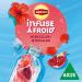 Lipton Infuse Froid Infusion Froid Go t Grenade et Hibiscus Id ale pour le Th Glac Ingr dients d'Origine 100% Naturelle 6x15 Sachets Pyramid - Buy Online on GoSupps.com