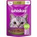 Whiskas 1+ Cat Food Lamb in Jelly | 28x85g - Premium Wet Food for Adult Cats | 2.38kg Pack - Shop Now! - Buy Online on GoSupps.com