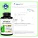 High-Dose 20% Sulforaphan Capsules - 360 Broccoli Extract Capsules with 90mg Sulforaphan Each | Premium Broccoli Sprout Supplement - Buy Online on GoSupps.com