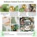 143Pcs Sage Green Balloon Garland Arch Kit Jungle Safari Woodland Balloon Garland Arch Sage Green Brown Beige Gold Balloons for Baby Shower Wild One Safari Birthday Decorations (Sage Green) - Buy Online on GoSupps.com