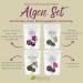 Buy Organic Algae Set: Sea Spaghetti Dulse Nori Flakes & Kombu | Raw Vegan Seaweed for Dashi | Pureeraw 90g - Buy Online on GoSupps.com