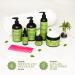 Mielle Organics Rosemary Mint Strengthening Conditioner with Biotin - 12oz - Buy Online on GoSupps.com