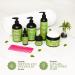 Mielle Organics Rosemary Mint Strengthening Shampoo and Conditioner with Biotin - Buy Online on GoSupps.com