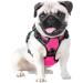 Phoepet Reflective Adjustable Dog Harness - Anti-Educational Training Handle Name ID Card XS Rose - Perfect for Easy Tightening & Weight Management - Buy Online on GoSupps.com
