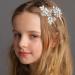 6-Piece Rhinestone Wedding Hair Clips & Pins - Crystal Barrette Bridal Hair Accessories for Women - Buy Online on GoSupps.com