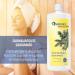 Sauna Infusion 'Saunamed' 1000 ml by Spitzner - Enhance Your Sauna Experience Worldwide - Buy Online on GoSupps.com