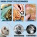 Crazy Felix Cat Cone - Soft Comfortable Collar for Cats, Blue - Neck 7-10 - Buy Online on GoSupps.com