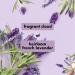 Love Beauty and Planet Soothe & Serene Body Lotion - Argan Oil & Lavender 13.5 fl oz - Buy Online on GoSupps.com
