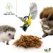 UGF Soldier Fly Larvae (500g) - Superior to Dried Mealworms - 85x Calcium - Ideal Treats for Birds Turtles Rodents & More - Buy Online on GoSupps.com