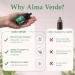 Alma Verde Liquid Chlorophyll Drops - Chlorophyll Water with Aloe Vera Juice for Body Odor Bloating Relief & Gut Health - Natural Deodorant Alternative for Women - Skin Glow & Detox - Vegan - 30ml - Buy Online on GoSupps.com