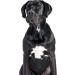Karlie Dog Shampoo for Black Fur - 300 ml | Premium Pet Care for Shiny Coats | International Shipping Available - Buy Online on GoSupps.com