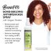 ALL ABOUT CURLS Bond Building Anti-Breakage Spray Strengthens & Protects Vegan & Cruelty Free Sulfate Free 8 Fl Oz - Buy Online on GoSupps.com