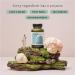 THE HERBTENDER Calm & Collected - Vegan Adaptogen Supplements with Ashwagandha & Lion's Mane (60 Capsule Jar - Buy Online on GoSupps.com