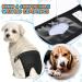 3 Pack Washable Protective Dogs House Discus Wastes Pants - Black (M) | Health & Comfort for Pets - International Shipping - Buy Online on GoSupps.com