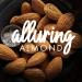 So Delicious Dairy Free Almond Milk Unsweetened - 1 Quart (Pack of 6) | Vegan & Non-GMO - Buy Online on GoSupps.com