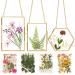 Double Glass Frame for Pressed Flowers - w/Real Dried Flowers and Tweezer - Pressed Flower Frames for Handicrafts  Pressed Flower  Photo  or Other Small Flat Items