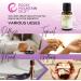 Buy Rocky Mountain Oils Citronella Essential Oil 15ml - Pure & Natural Essential Oils for Insect Repellent & Aromatherapy - Buy Online on GoSupps.com