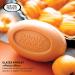 Glazed Apricots Soap - Vegan Triple-Milled Bar with Organic Shea Butter | South of France Clean Body Care - Buy Online on GoSupps.com