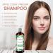 Fermosa Apple Cider Vinegar Shampoo & Conditioner Set - Clarifying Nourishing Sulfate-Free for Itchy Scalp Dandruff & Frizz - 16.9oz/500ml - Buy Online on GoSupps.com
